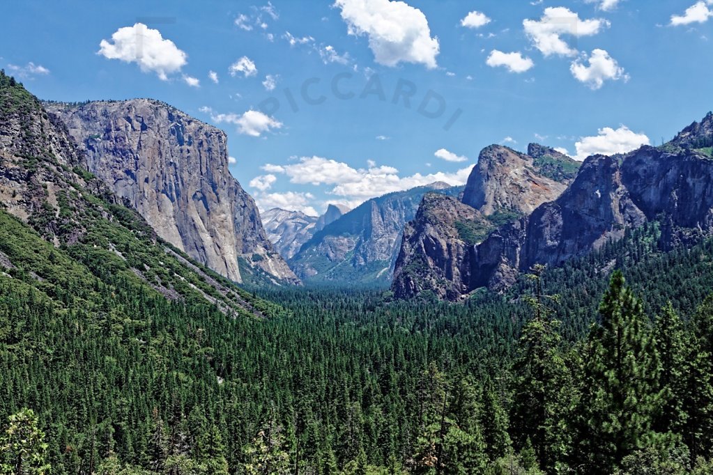 Yosemite National Park, CA '13